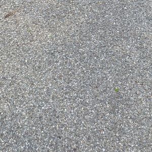 Meet your Posher, Carter